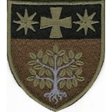 в/ч А4823 (кольоровий/олива)