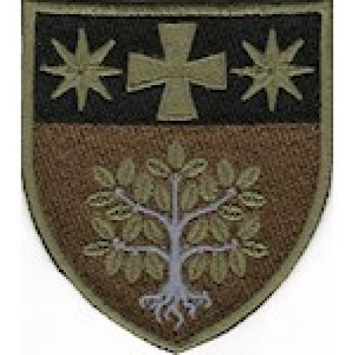 в/ч А4823 (кольоровий/олива)