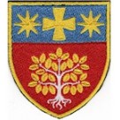 в/ч А4823 (кольоровий/олива)