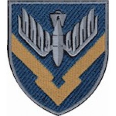 в/ч  А2734 (кольоровий/олива)