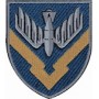 в/ч  А2734 (кольоровий/олива)