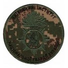  Київський інститут НГУ  хижак песок/хижак зелена нитка/олива/койот