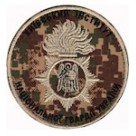  Київський інститут НГУ  хижак песок/хижак зелена нитка/олива/койот