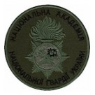 Національна академія НГУ (олива/кольоровий/хижак)