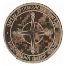 Окрема артилерійська бригада НГУ (хижак/мультікам/койот)