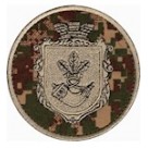НГУ Кривий Ріг (хижак-нитка пісочна/темно-синій)