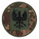 НГУ Чернігів хижак/койот