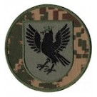 НГУ Івано-Франківськ хижак\койот