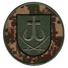 НГУ Вінниця (хижак)
