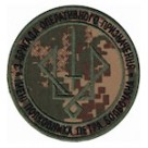 3 бригада оперативного призначення  ім.полковника Петра Болбачана (хижак/олива)