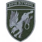 204 бригада тактичної авіації (кольоровий/олива)