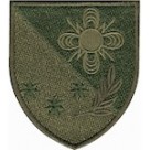 57 окремий полк звязку та РТЗ /олива/кольоровий/