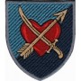 39 окрема бригада берегової оборони  олива/кольоровий
