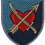 39 окрема бригада берегової оборони  олива/кольоровий