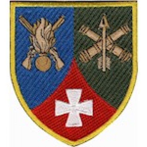 233 загальоновійськовий полігон кольоровий/олива