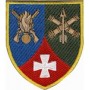 233 загальоновійськовий полігон кольоровий/олива