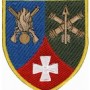 233 загальоновійськовий полігон кольоровий/олива
