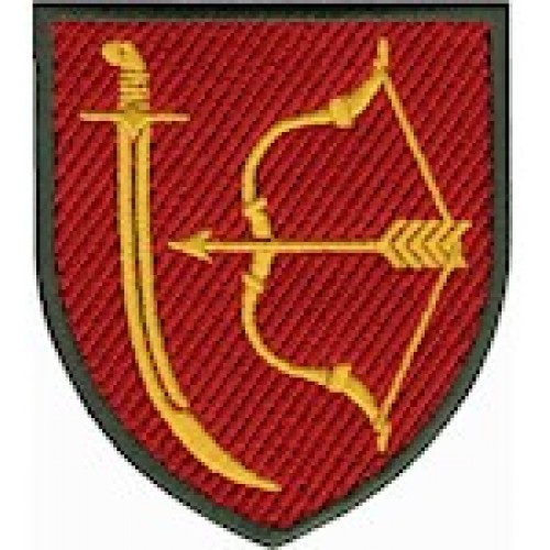 1020 зенітно-ракетний артилерійський полк в/ч А4647 кольоровий/олива