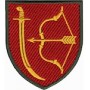 1020 зенітно-ракетний артилерійський полк в/ч А4647 кольоровий/олива