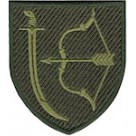 1020 зенітно-ракетний артилерійський полк в/ч А4647 кольоровий/олива