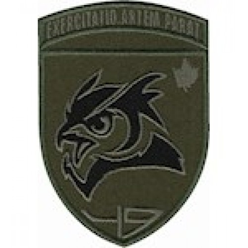 49 навчальний центр розвідки кольоровий/цифра/олива