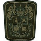 Шеврон Національна академія сухопутних військ цифра/олива