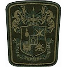 Шеврон Національна академія сухопутних військ цифра/олива
