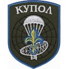 Шеврон Купол  3 РЛР