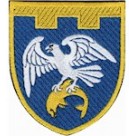 Шеврон 255 ОБ 123 ОБр ТРО ЗСУ /кольоровий/олива/