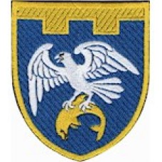 Шеврон 255 ОБ 123 ОБр ТРО ЗСУ /кольоровий/олива/