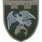 Шеврон 255 ОБ 123 ОБр ТРО ЗСУ /кольоровий/олива/