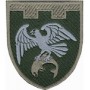 Шеврон 255 ОБ 123 ОБр ТРО ЗСУ /кольоровий/олива/