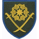 Шеврон 41 ОМБр /кольоровий/