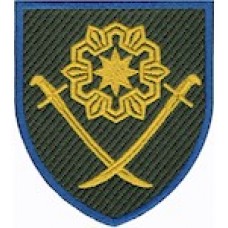 Шеврон 41 ОМБр /кольоровий/