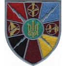 Шеврон Війська РЕБ  олива/кольоровий