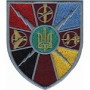 Шеврон Війська РЕБ  олива/кольоровий