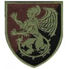 Шеврон ГЦзОДТ