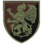 Шеврон ГЦзОДТ