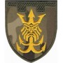 Шеврон 122 Окрема бригада ТРО /Нептун/мультикам/темно-зелений/