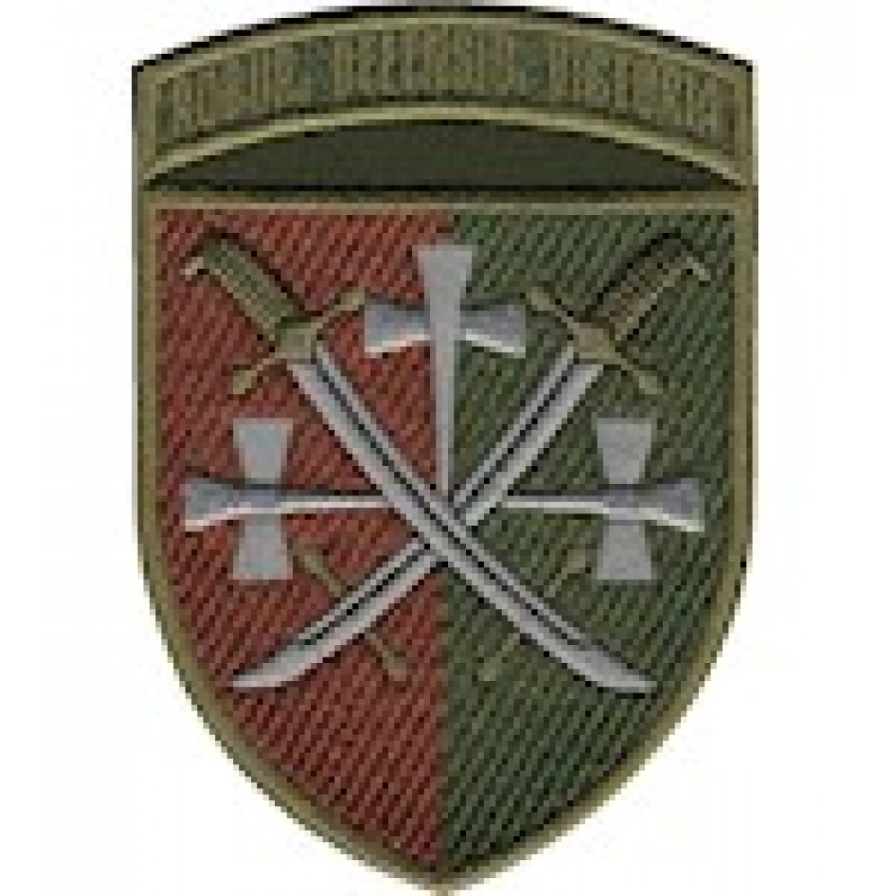 Шеврон 14 армійський корпус /кольоровий/олива/