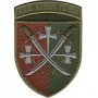Шеврон 14 армійський корпус /кольоровий/олива/