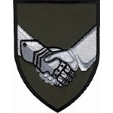 Шеврон Цівільно-військове співробітництво /олива/