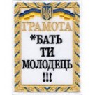 Шеврон  Грамота  *бать ти молодець!!!