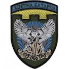 Шеврон 122 ОБр ТрО Зенітна батарея