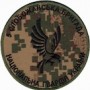 Шеврон 5 Слобожанська бригада НГУ в/ч 3005 /олива/мультикам/хижак/койот