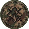 Шеврон в\ч 3045 \хижак\койот\мультикам
