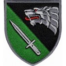 Шеврон 144 Центр ССО
