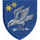 Шеврон 435 окремий дивізіон Безпілотних систем ППО олива\бірюза