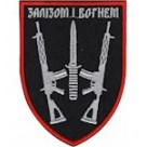  Шеврон 67 ОМБр Залізом та вогнем