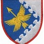  Шеврон 437 окремий дивізіон безпілотних систем ППО (кольоровий\чорний